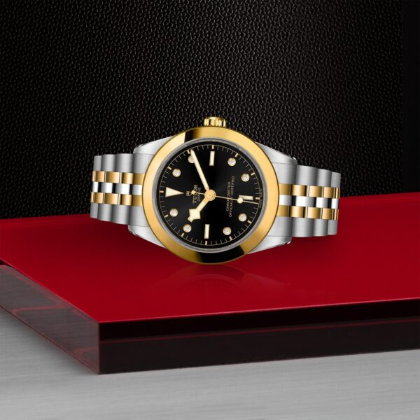 TUDOR Black Bay 39 S&G at Meridian Jewelers