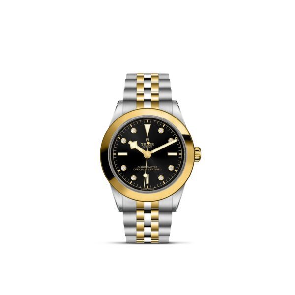 TUDOR Black Bay 39 S&G at Meridian Jewelers