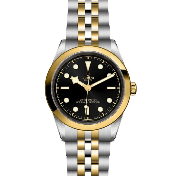 TUDOR Black Bay 41 S&G at Meridian Jewelers