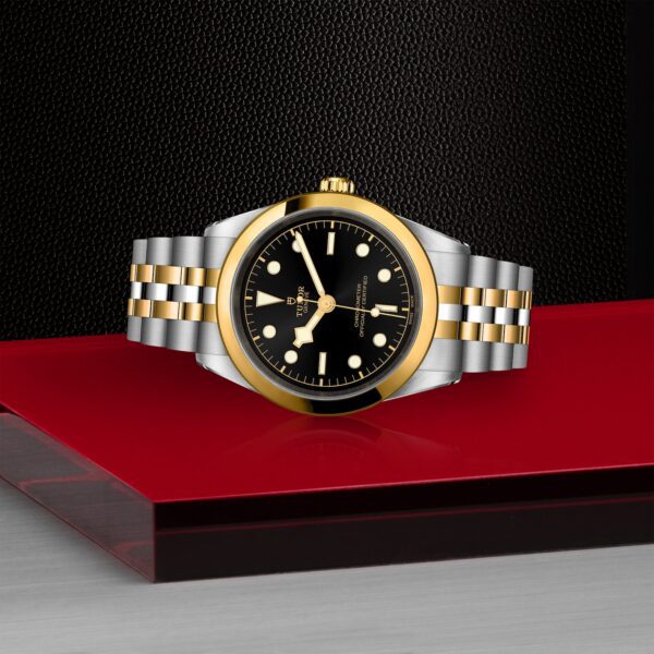 TUDOR Black Bay 41 S&G at Meridian Jewelers