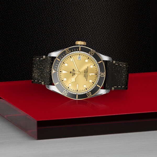 TUDOR Black Bay S&G at Meridian Jewelers