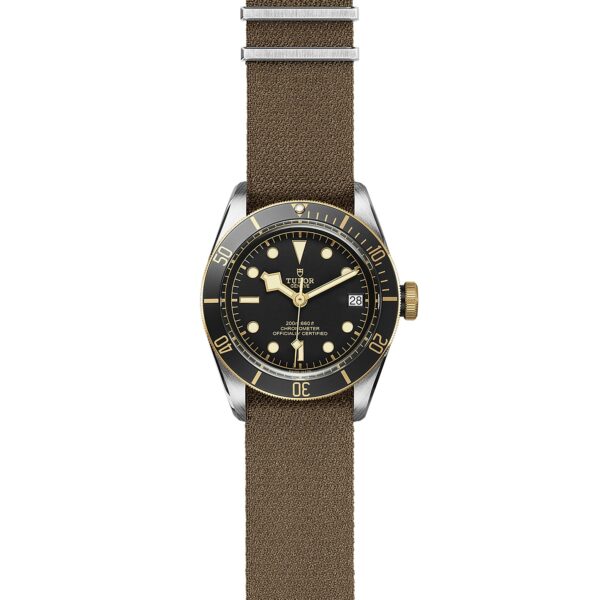 TUDOR Black Bay S&G at Meridian Jewelers