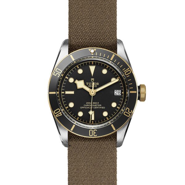 TUDOR Black Bay S&G at Meridian Jewelers