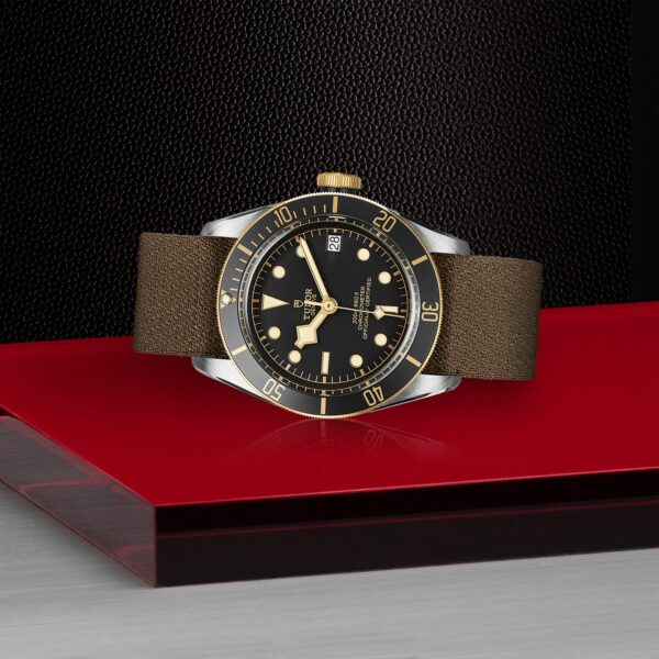 TUDOR Black Bay S&G at Meridian Jewelers