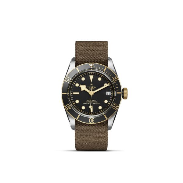 TUDOR Black Bay S&G at Meridian Jewelers