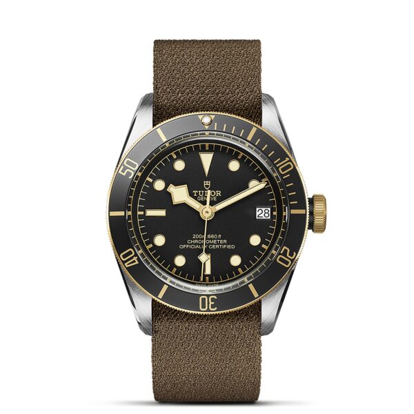 TUDOR Black Bay S&G at Meridian Jewelers