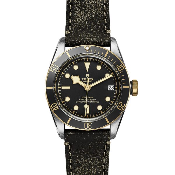 TUDOR Black Bay S&G at Meridian Jewelers