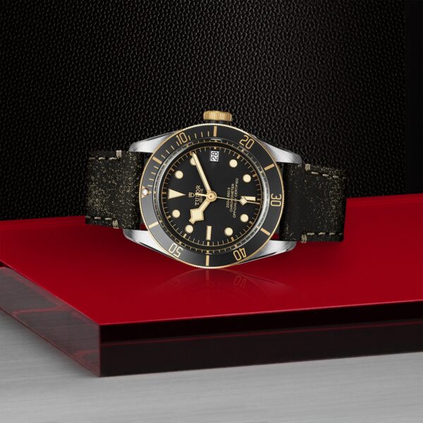 TUDOR Black Bay S&G at Meridian Jewelers