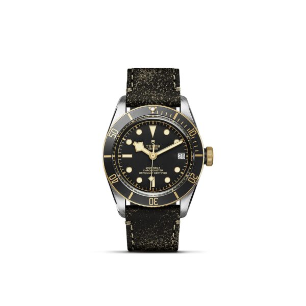 TUDOR Black Bay S&G at Meridian Jewelers