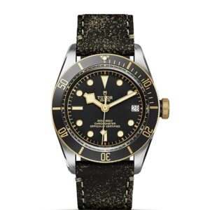 TUDOR Black Bay S&G at Meridian Jewelers