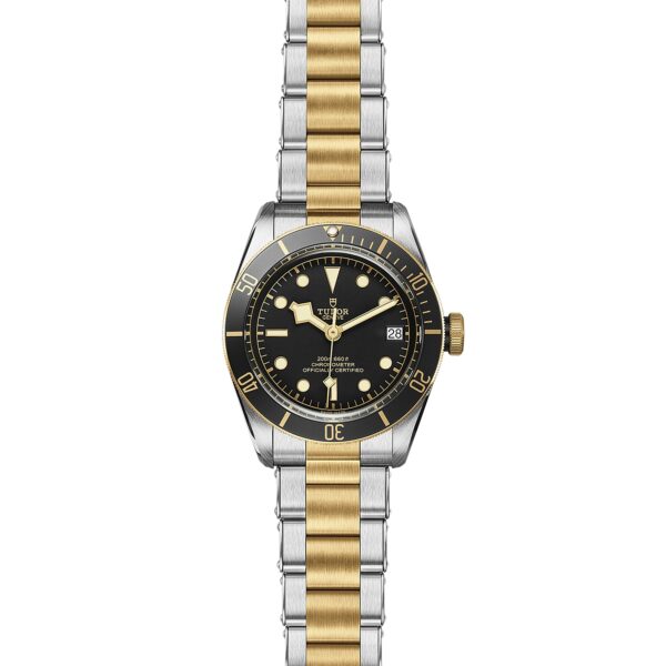 TUDOR Black Bay S&G at Meridian Jewelers