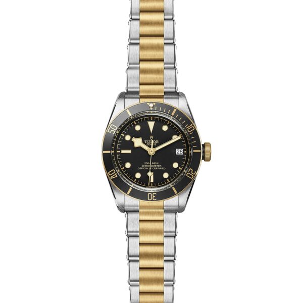 TUDOR Black Bay S&G at Meridian Jewelers