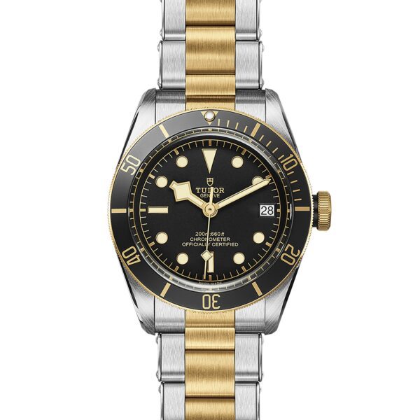 TUDOR Black Bay S&G at Meridian Jewelers