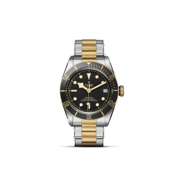 TUDOR Black Bay S&G at Meridian Jewelers