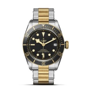 TUDOR Black Bay S&G at Meridian Jewelers