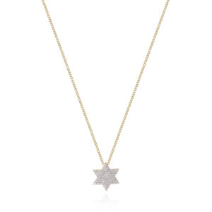 Phillips House Infinity Star of David Necklace at Meridian Jewelers