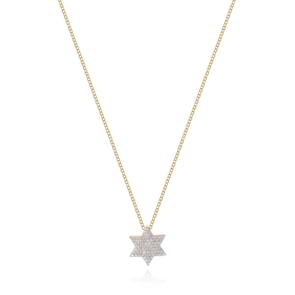 Phillips House Infinity Star of David Necklace at Meridian Jewelers