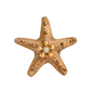 Silvia Furmanovich Starfish Brooch at Meridian Jewelers