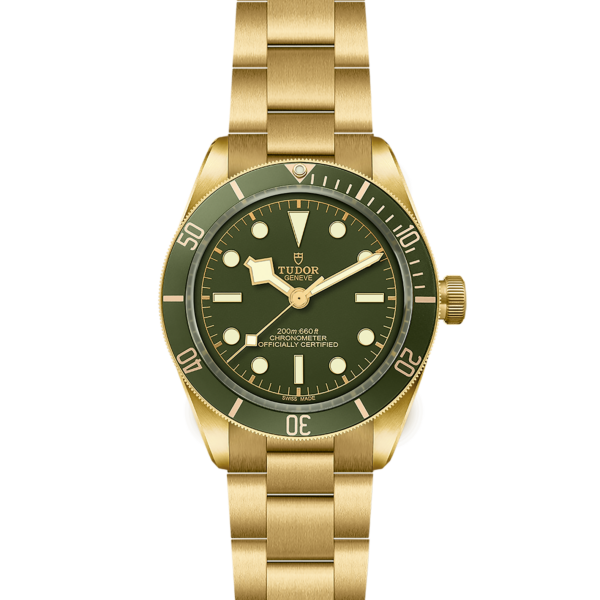 TUDOR Black Bay 58 18K - Image 4