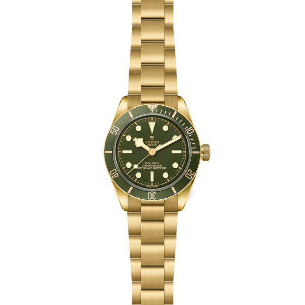 TUDOR Black Bay 58 18K - Image 3