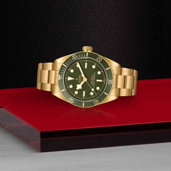 TUDOR Black Bay 58 18K - Image 5