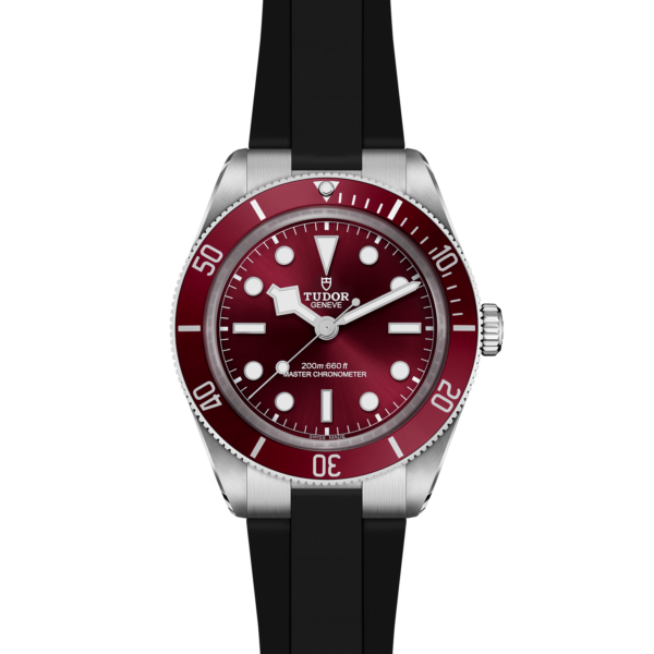 TUDOR Black Bay 58 - Image 4