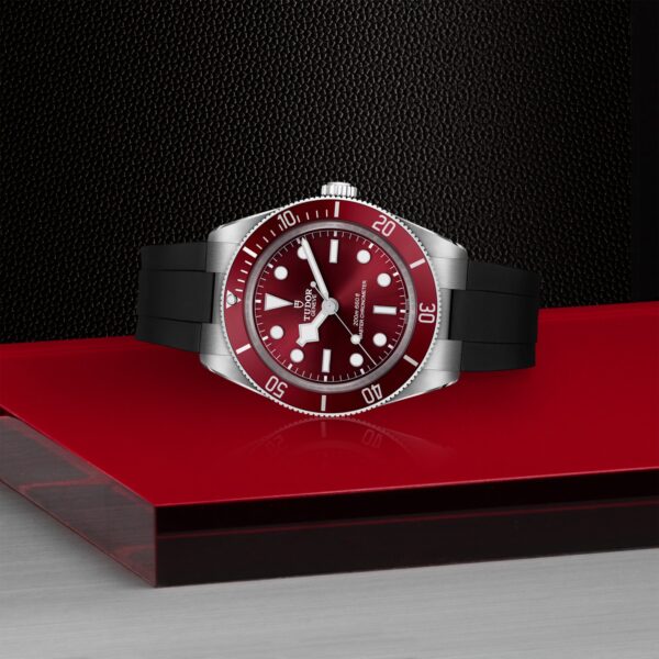TUDOR Black Bay 58 - Image 5