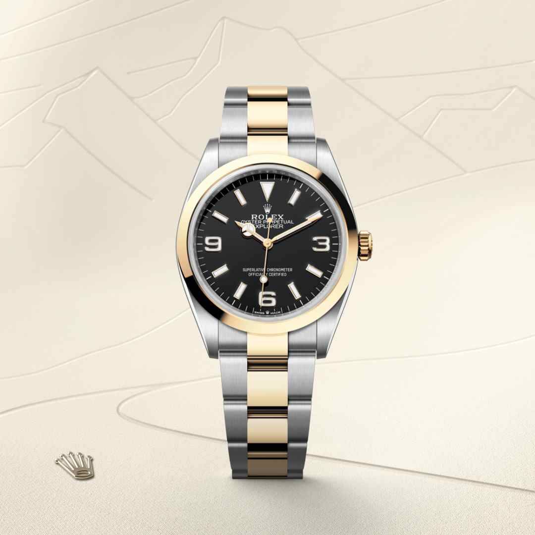 Explorer 36 
