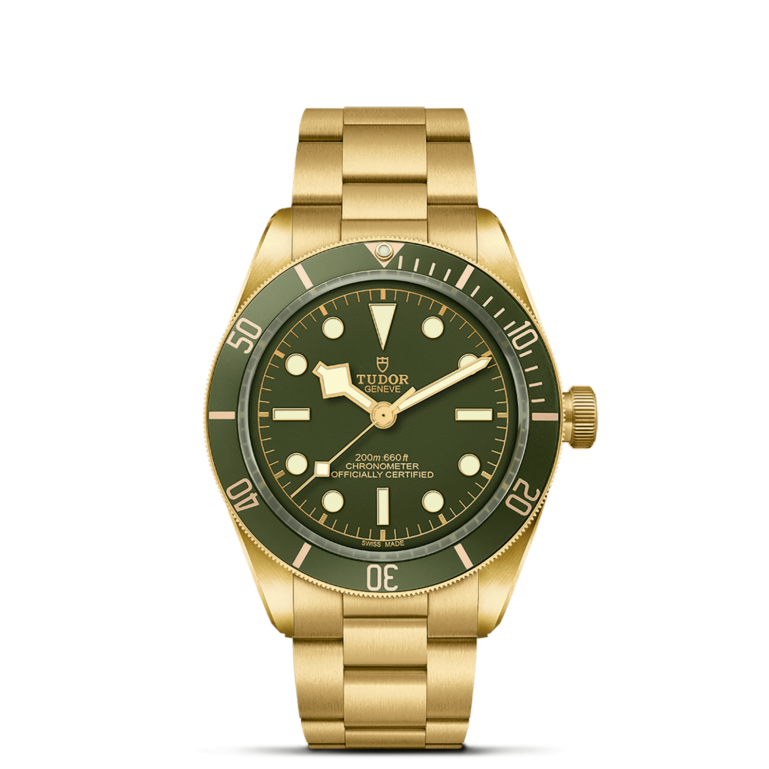 TUDOR Black Bay 58 18K M79018V-0006 - Meridian Jewelers