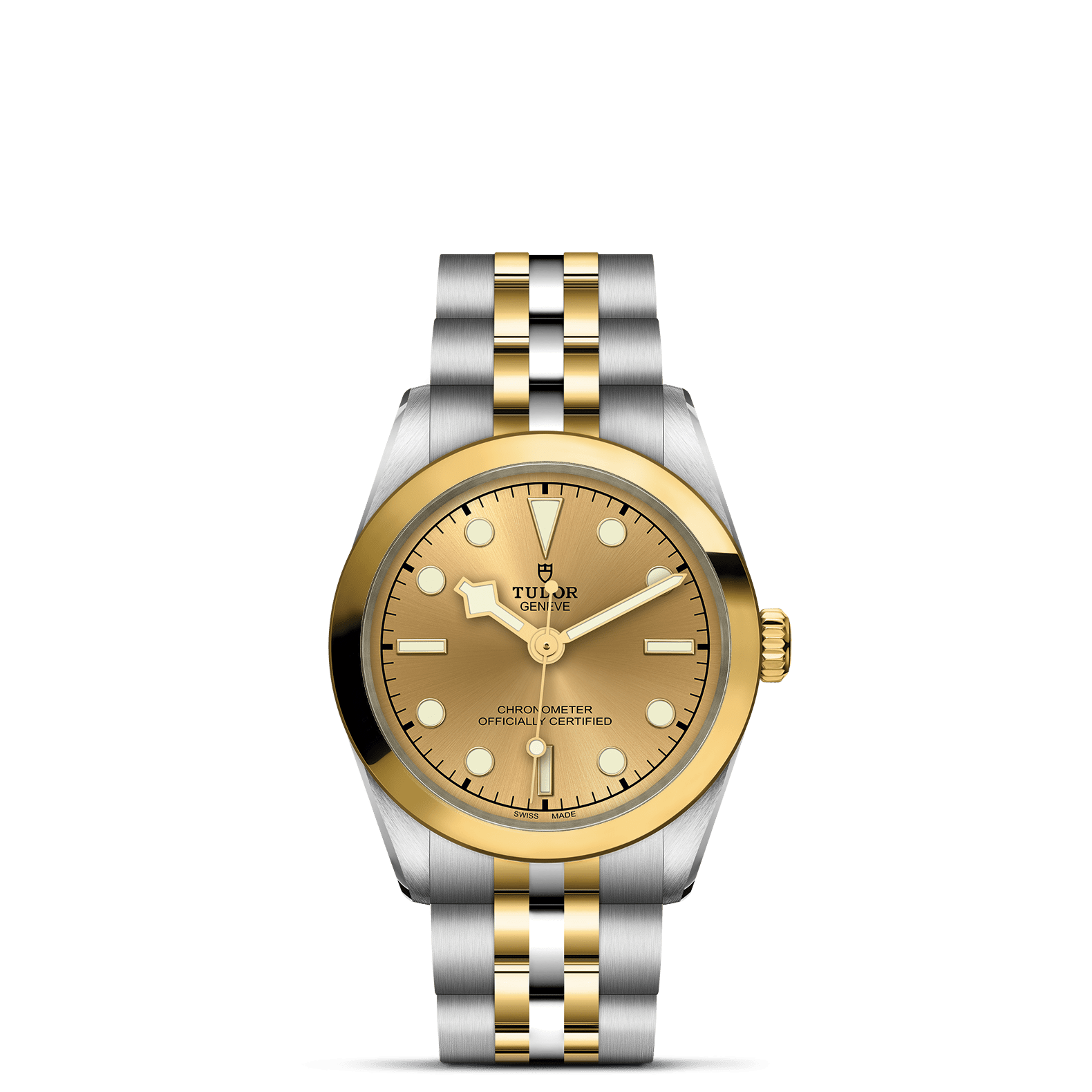 TUDOR Black Bay 31 S&G