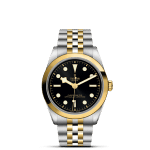 TUDOR Black Bay 36 S&G