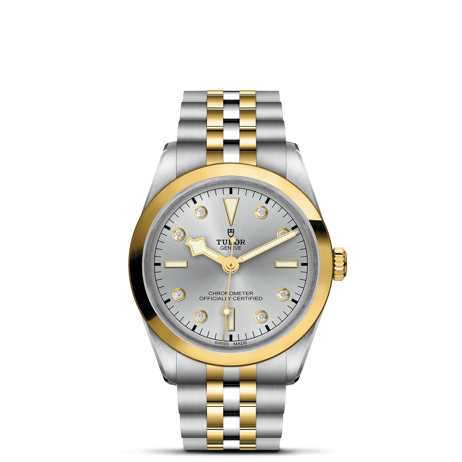 TUDOR Black Bay 36 S&G