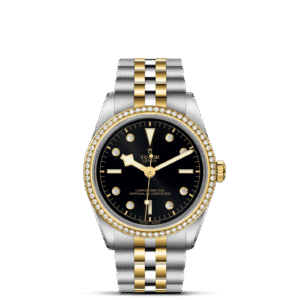 TUDOR Black Bay 36 S&G