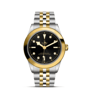 TUDOR Black Bay 39 S&G
