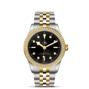 TUDOR Black Bay 39 S&G